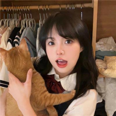 故剑长情